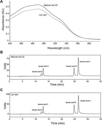 Nonclinical safety evaluation of food colorant lac dye via systematic toxicity profiling with assessment of in vivo antigenic potential